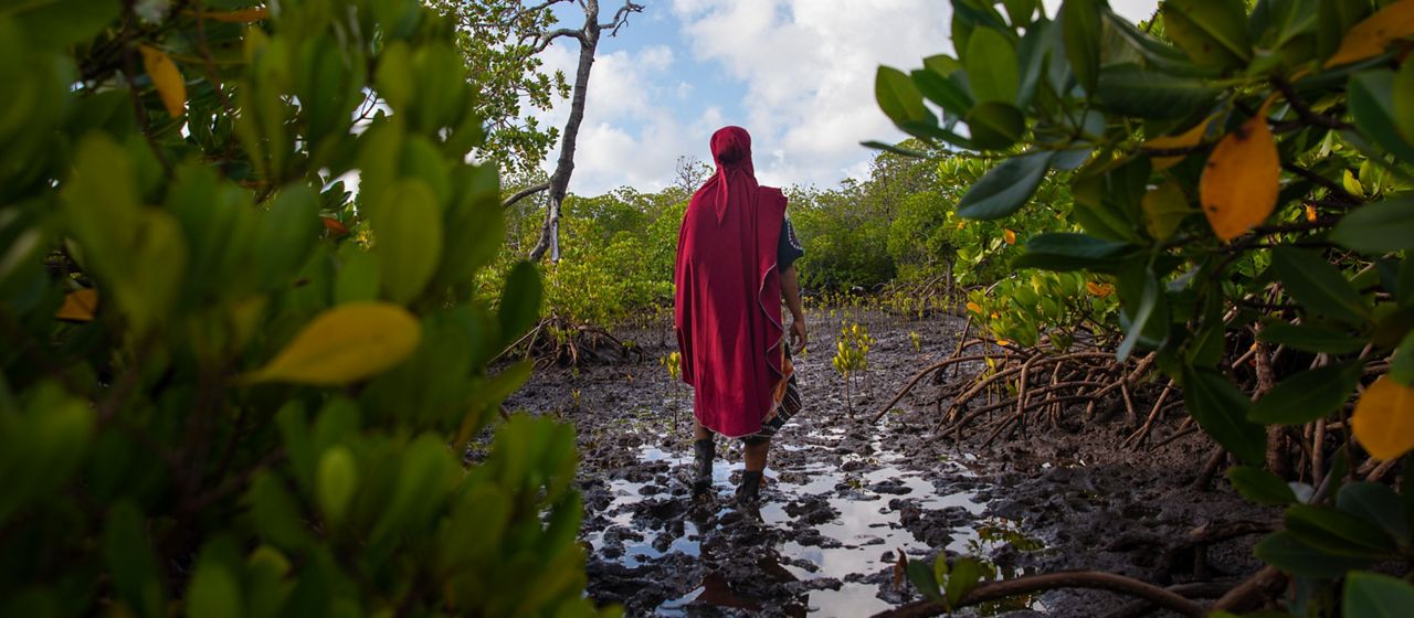 Zulfa Hassan stands in a mangrove plantation near Mtangawanda, Lamu, Kenya.