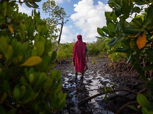 Zulfa Hassan, founder of the Mtangawanda Women’s Association, stands in the mangrove plantation that she and the group restored and manage. 