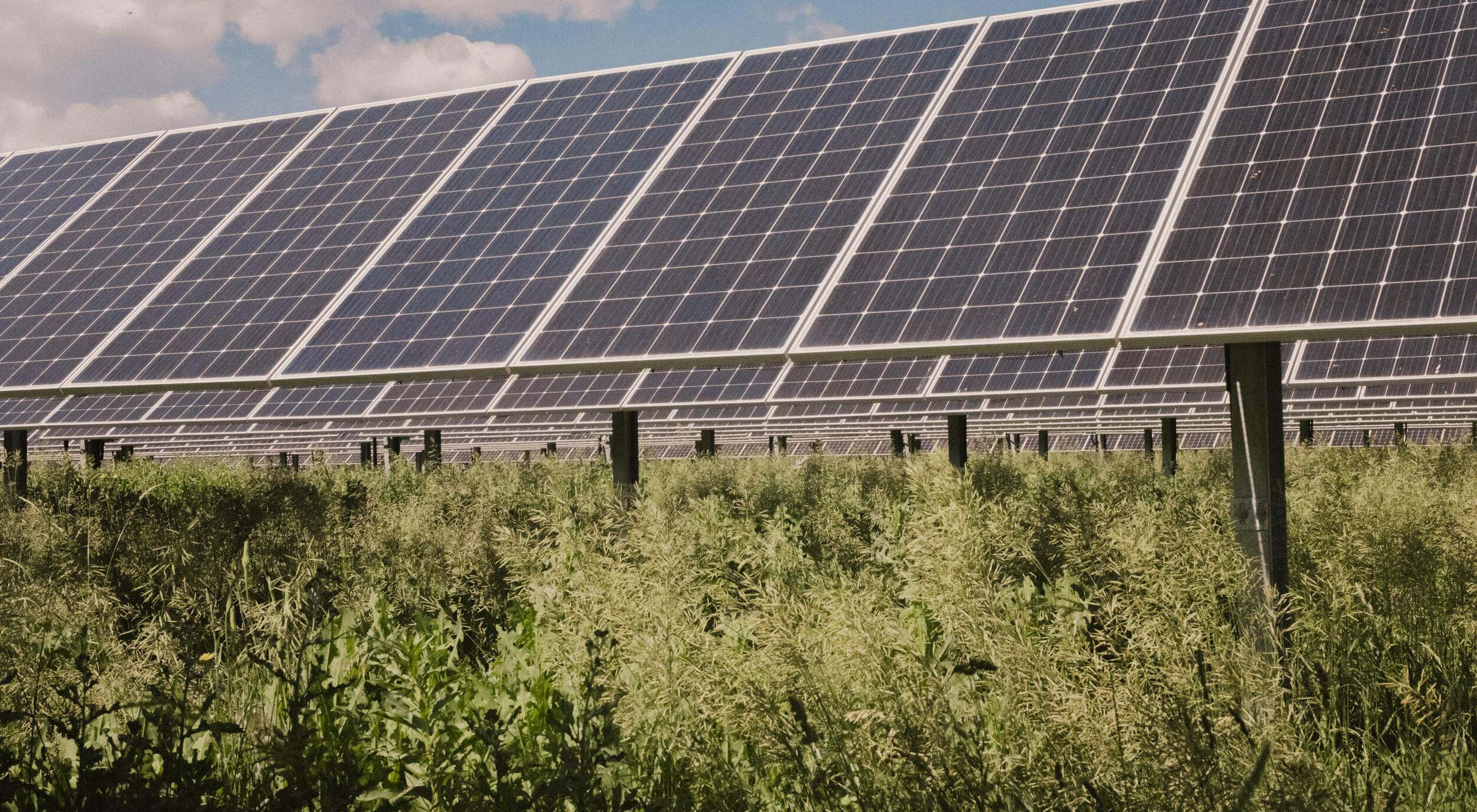 Solar array over agricultural field. 