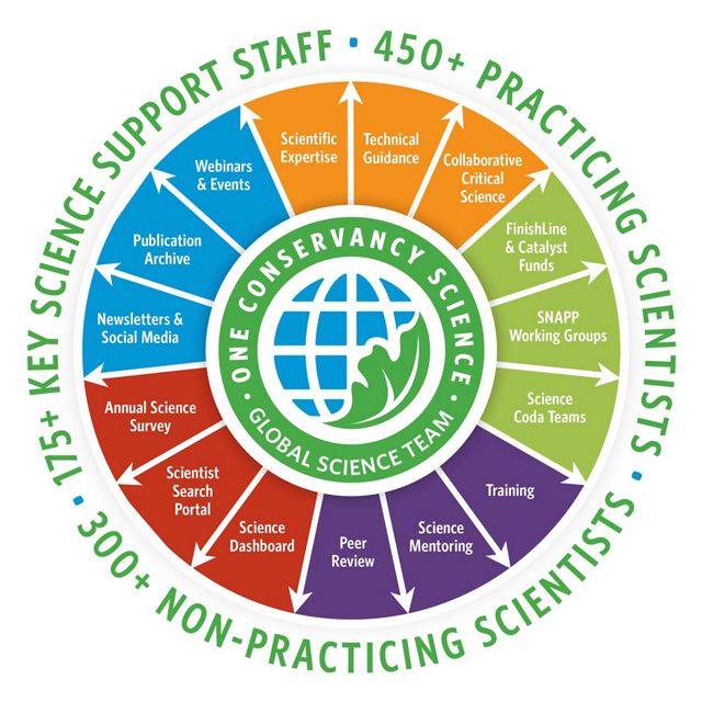 A large colorful wheel graphic that breaks down the global science team structure and initiatives by the team.