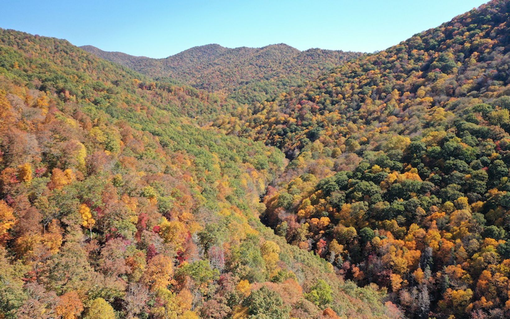mountains with fall foliage