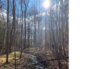 Forested land surrounding stream system, part of the protected property of Sunken Meadow.