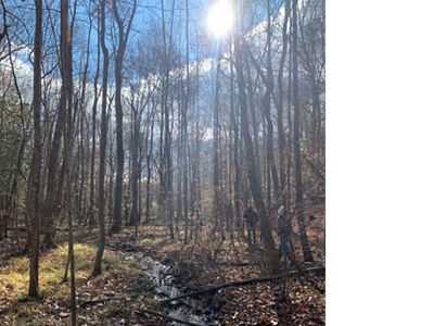 Forested land surrounding stream system, part of the protected property of Sunken Meadow.