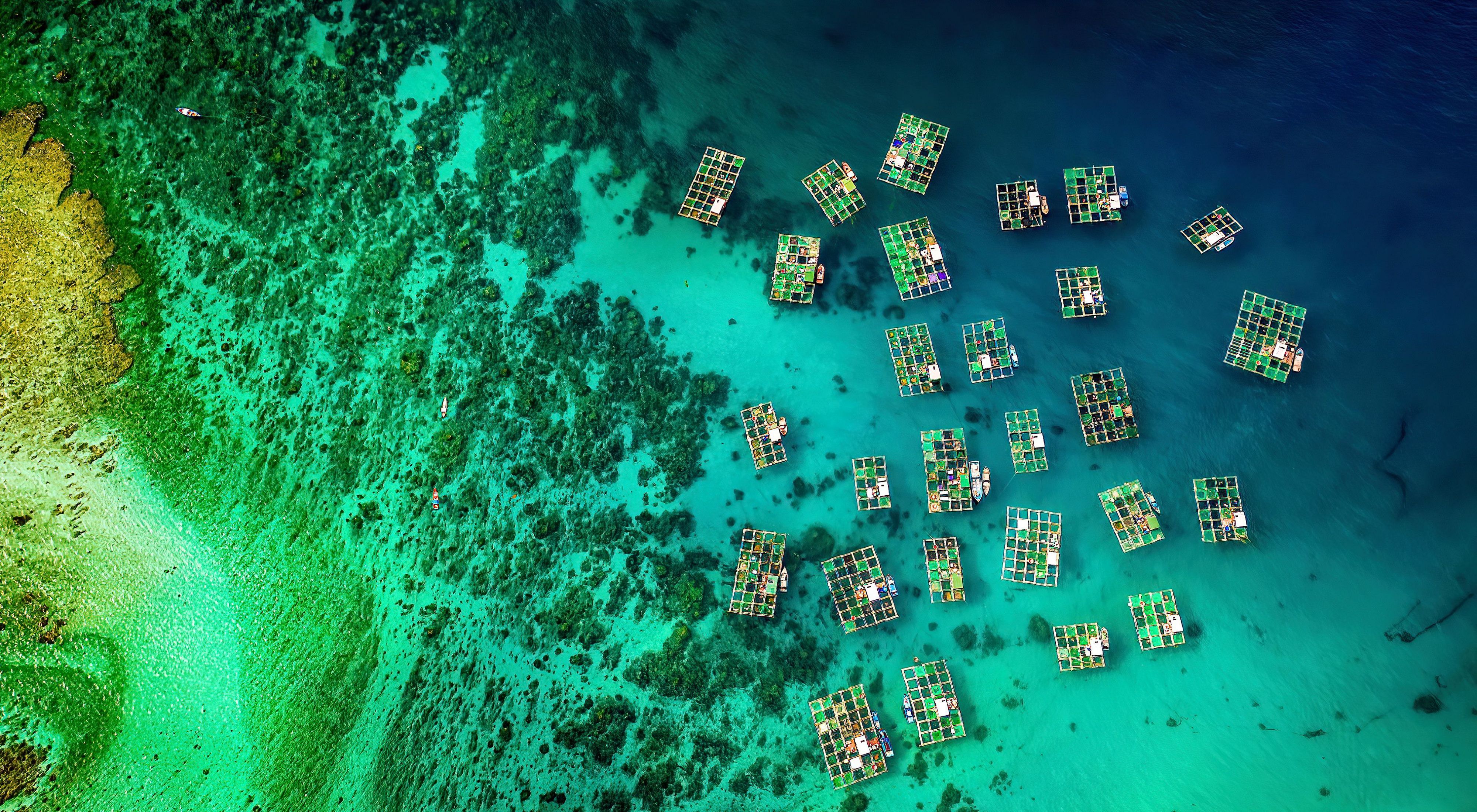 Aquaculture from above in Ly Son Island.