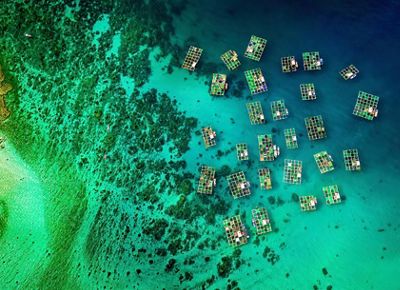 aerial view of an island and aquaculture equipment