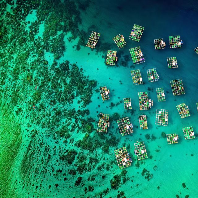 aerial view of an island and aquaculture equipment