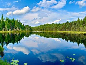 A lake reflecting a blue sky with white clouds that is surrounded by evergreen trees.