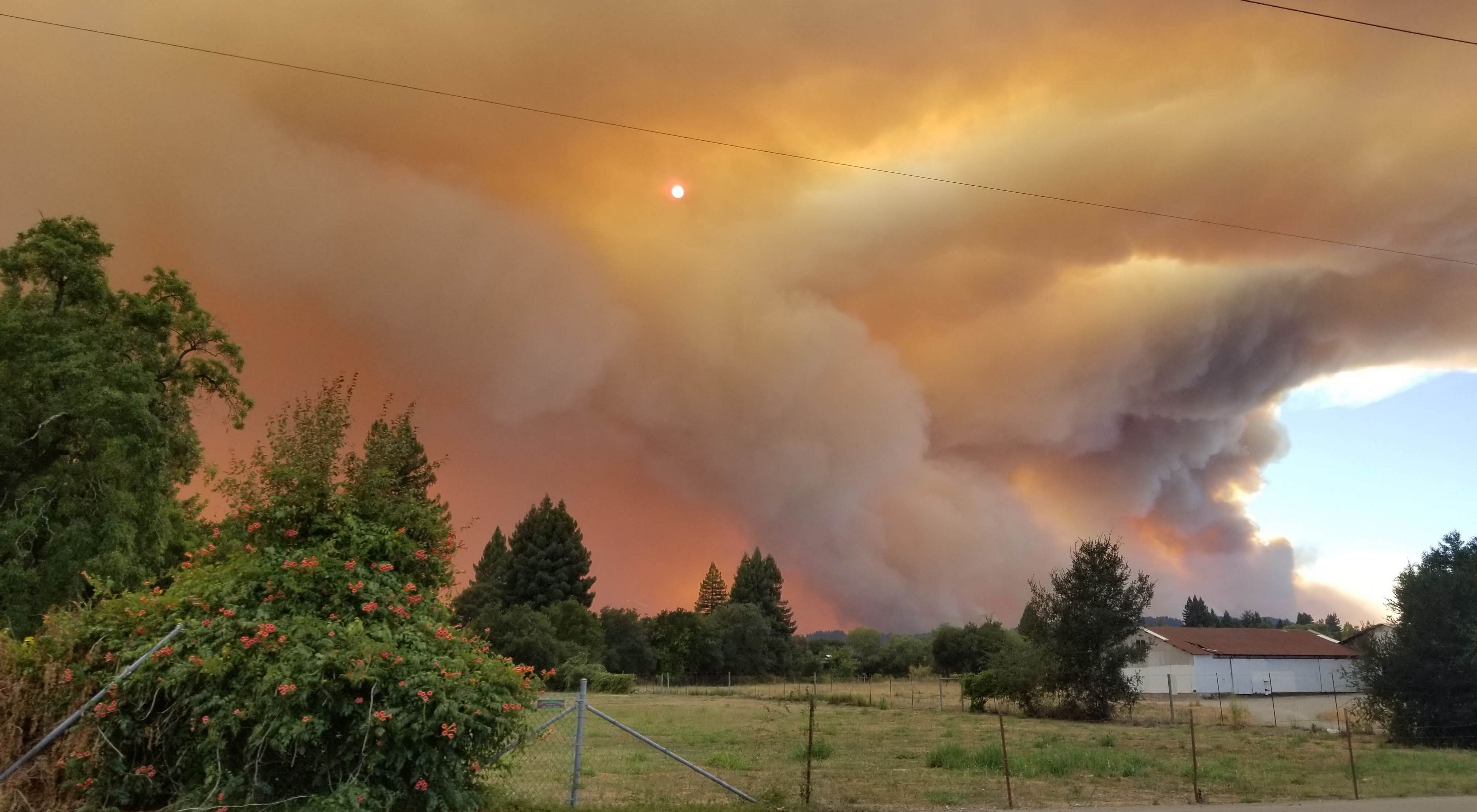 Large plumes of smoke sweeping through pine and oak forests in grassland meadows terrorizing the community in Healdsburg, California.