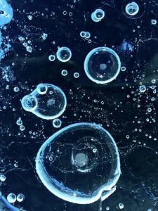  Air bubbles trapped in a frozen lake look like they're floating.