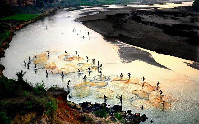 Aerial view of people standing in a West Bengal river in India, casting nets for fishing.