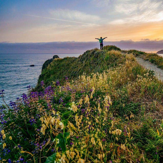 A person stands at the ends of a cliff that's covered in wildflowers. They are throwing their arms up as they look at the sea. 