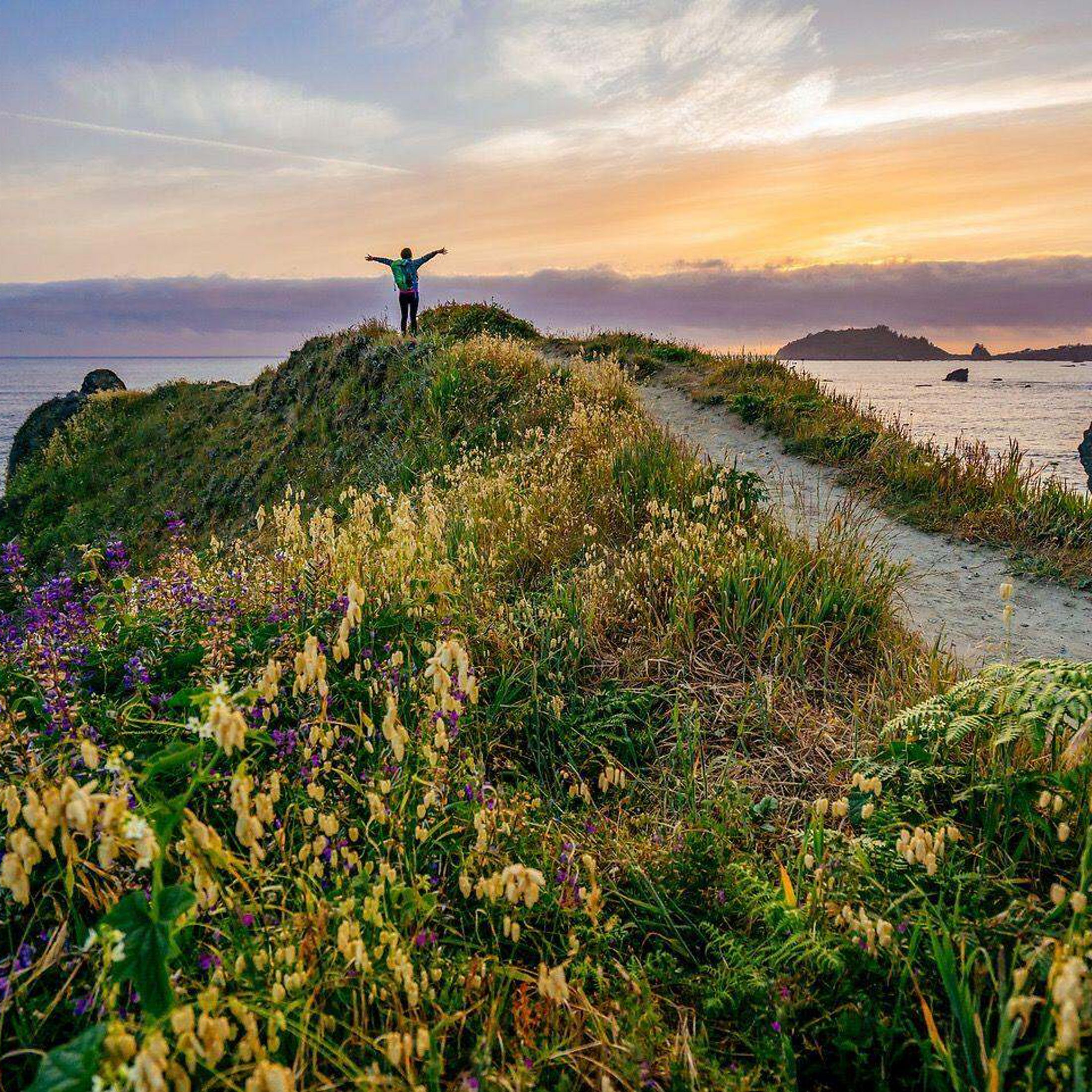 A person stands with arms outstretched in the distance along a narrow trail lined with colorful flowers and ocean in the background.