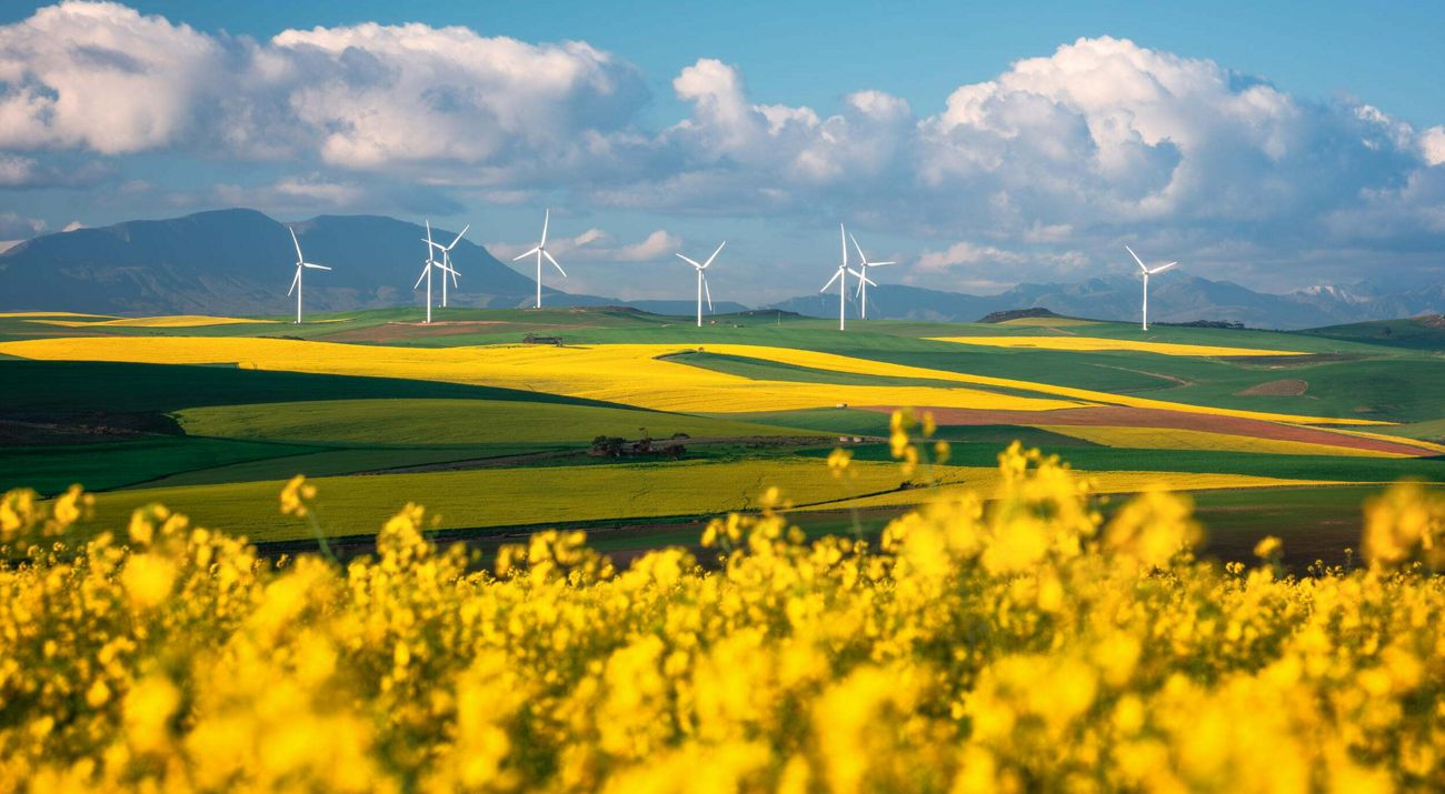 The blooming season. Integrating nature and people in the clean energy transition.