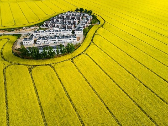 Una pequeña comunidad de edificios blancos está rodeada de campos de cultivo amarillos.