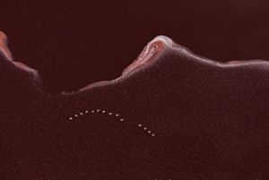 Aerial view looking down on a lake. The water is red with a curling ripple of white through the center. Flamingos fly over the lake in a curving flock.