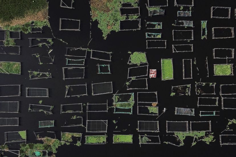 Rectangular fish pens create an abstract geometry on the surface of a lake.