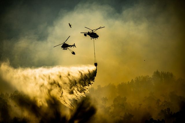 A helicopter drops a bucket of water on a wildfire. A second helicopter turns and flies in the opposite direction. A bird flies in the air between them.