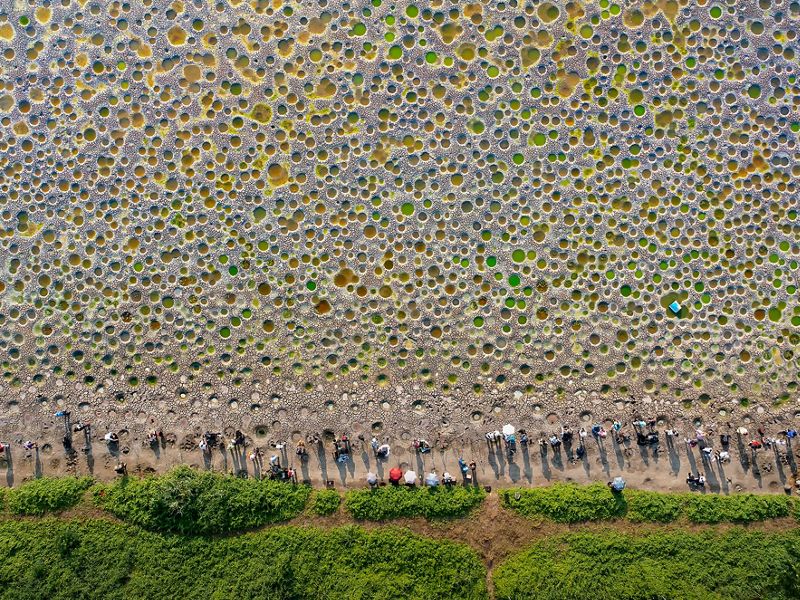 A shark creates a hole in a massive bait ball of small fish as it swims through looking for a meal.