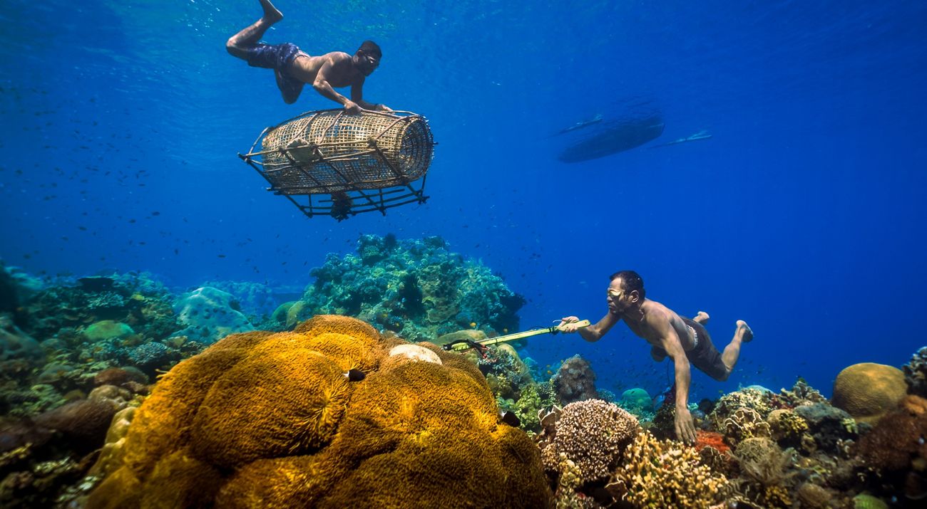 Two local divers catching fish in Alor, East Nusa Tenggara, Indonesia.