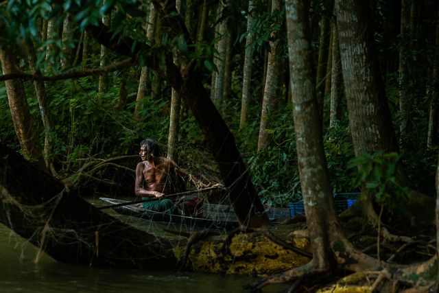 A man sits in a canoe as it floats through a dense mangrove forest. Blue plastic crates hold guavas for sale.