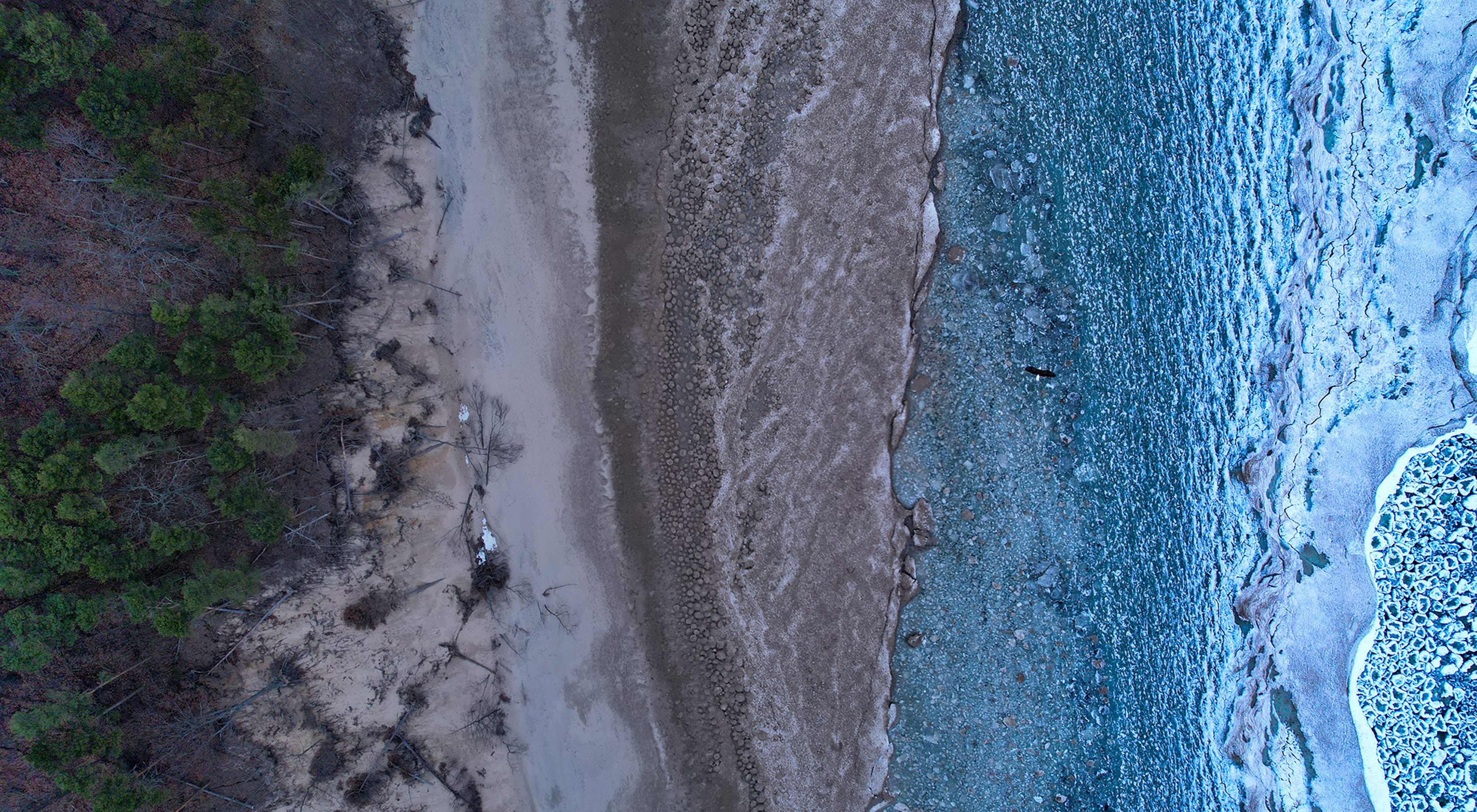 Aerial image of a shoreline. Blue water, green grass and white shore. An eagle soars across the scene. 