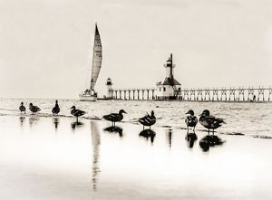 Ducks on the shore of a beach. Their images are reflected in the wet sand. A sailboat moves alongside a pier and lighthouse. 