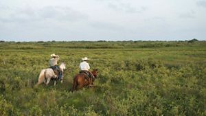 two cowboys on horseback in an open grassy plain.