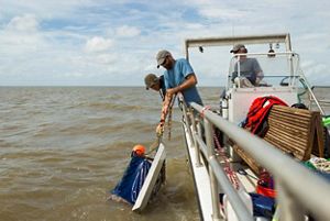 Three men on a boat pull up a sampling net.