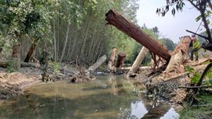 This project was designed so that the estuary can “migrate” upstream when sea level rises in the future.