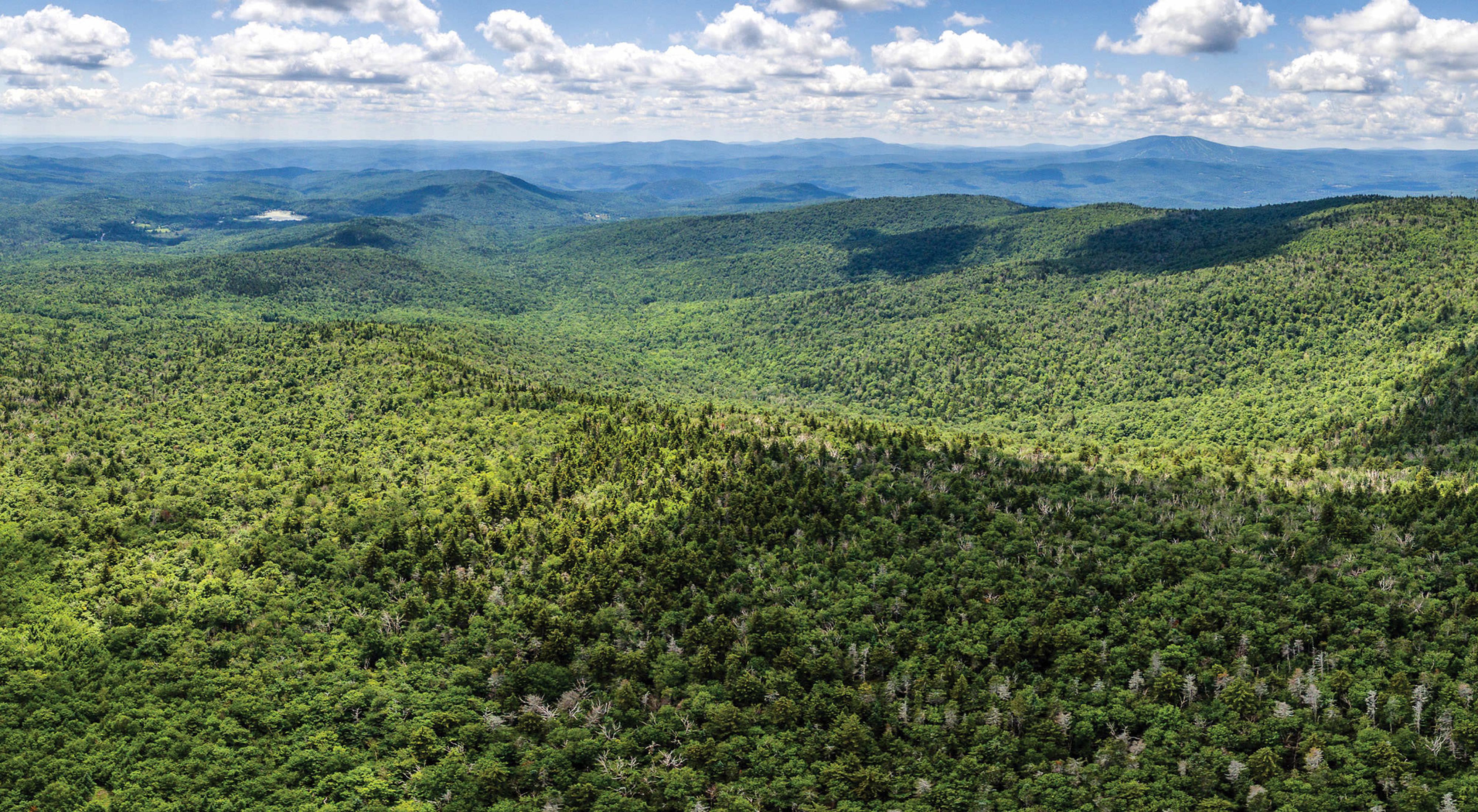 Landscape view of vast, rolling forested hills of the Glebe Mountain area in Vermont.