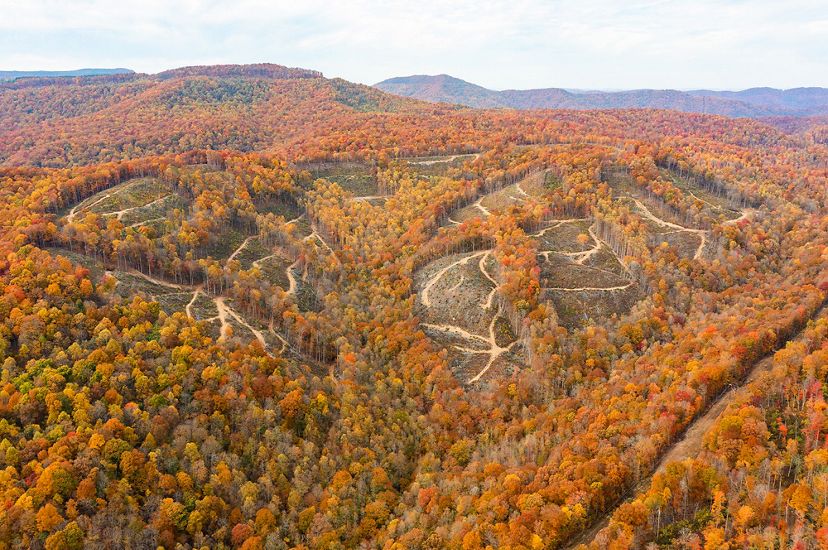 Aerial view of mountain top where sustainable timber harvest has occurred. Wide strips of trees enclose rectangular areas that have been logged.