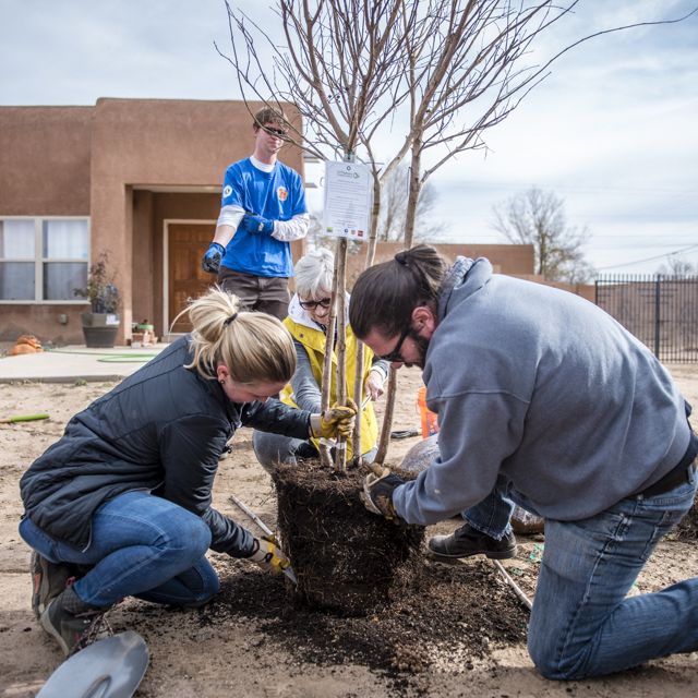 Three people plant a sapling in soil as two other people look on.