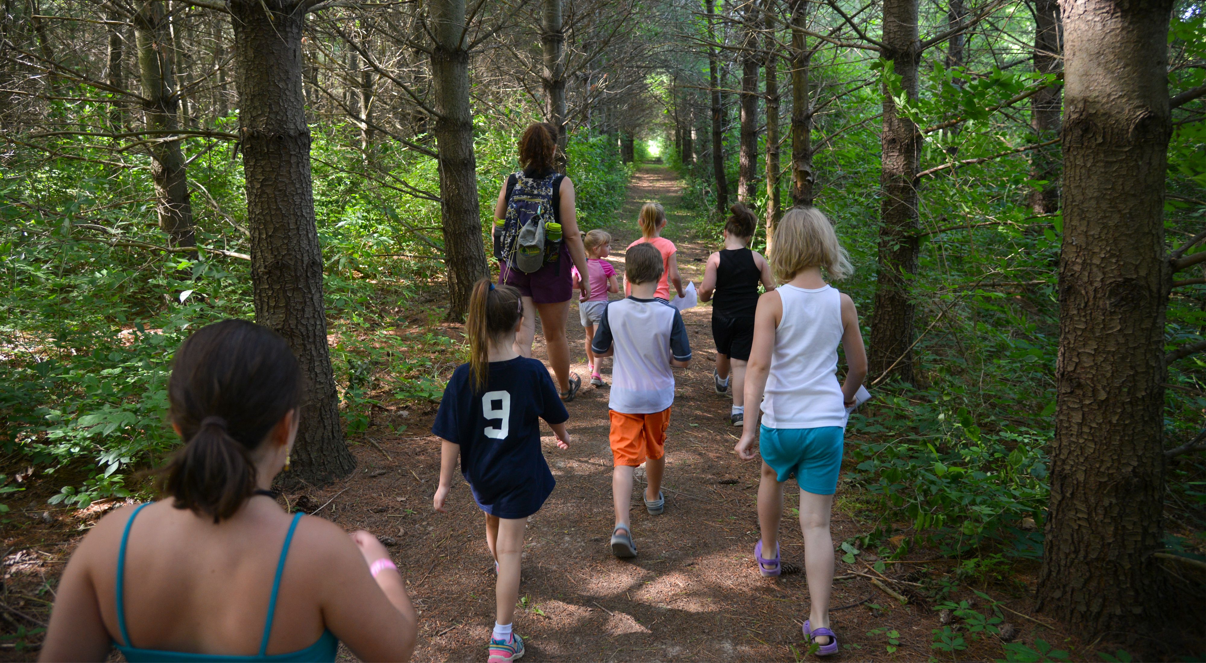 A group of kids walking away from the camera on a wooded trail.