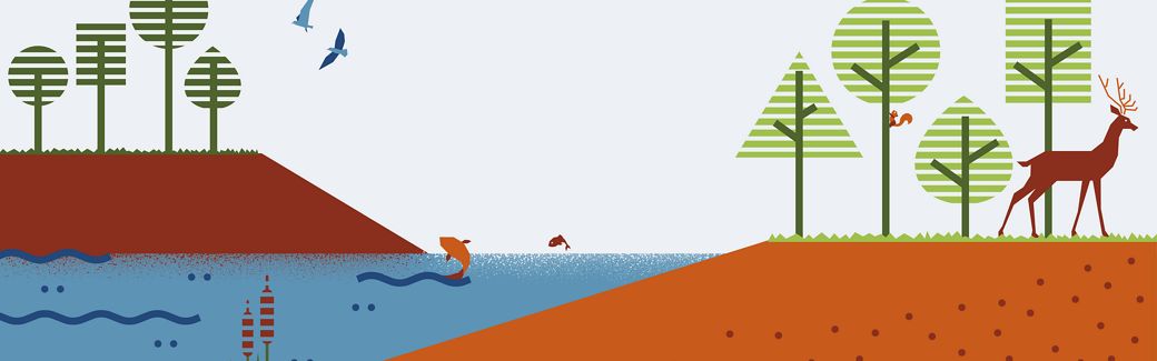 Illustration of trees, water, soil and various wildlife.