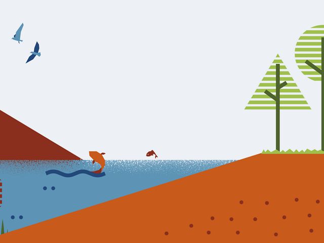 Illustration of birds, fish, squirrels and deer among the trees, water and soil.