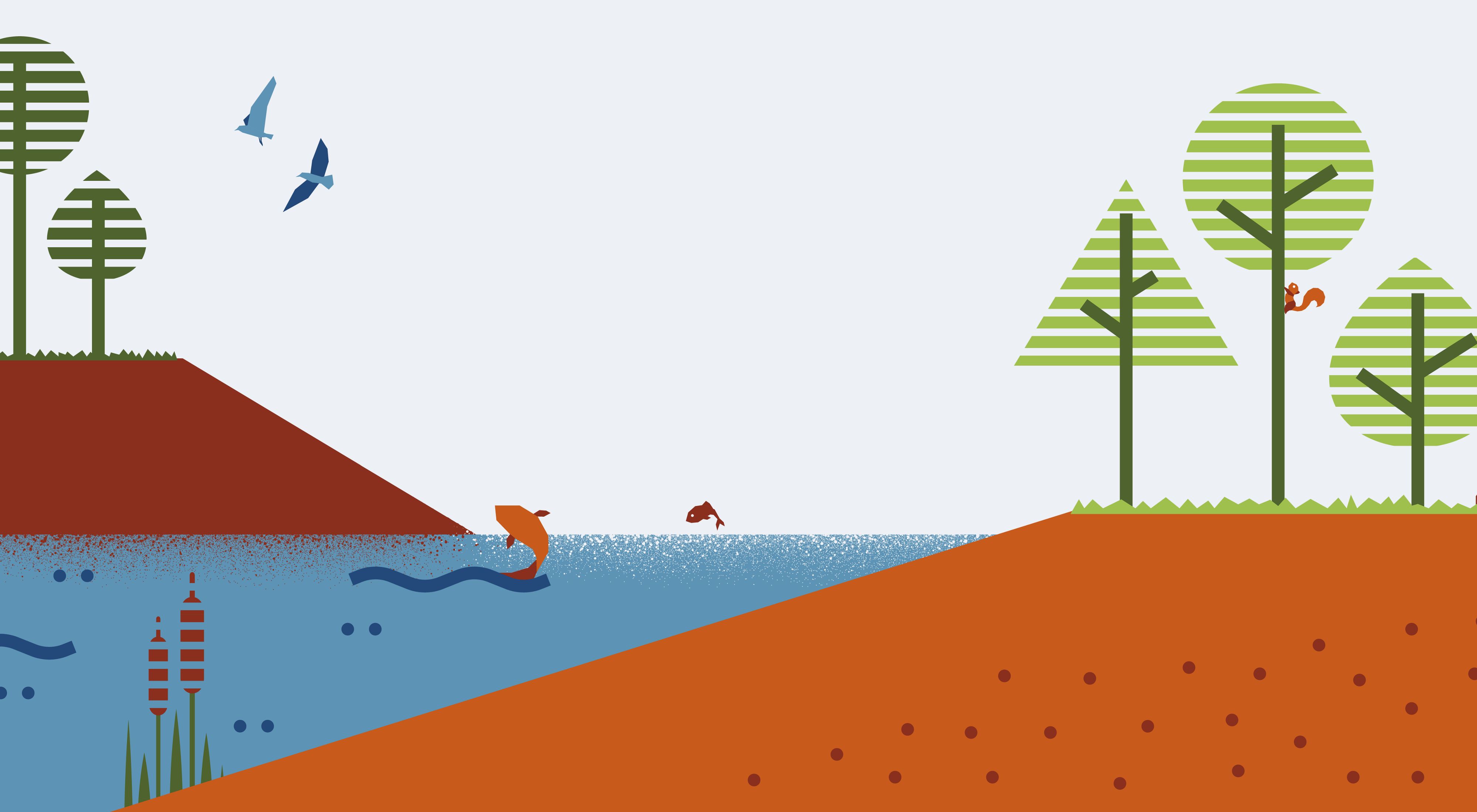 Illustration of trees, water, soil and various wildlife.