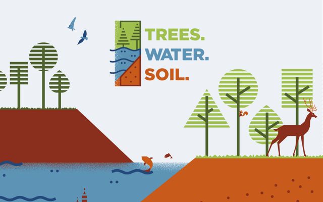 illustration of trees, water, soil and wildlife