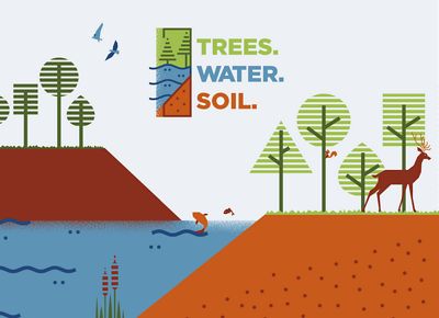 Illustration of birds, fish, squirrels and deer among the trees, water and soil.