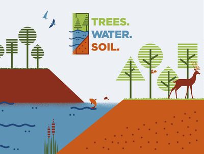 Illustration of birds, fish, squirrels and deer among the trees, water and soil with Trees. Water. Soil. logo overlay.