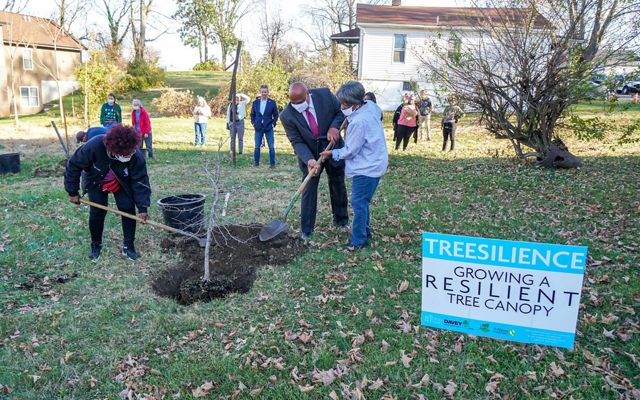 Partners held a kickoff event on 12.2.21 with a tree removal and planting in Pine Lawn, MO.