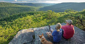 Two people and a dog look at a forest from a rocky outcrop.