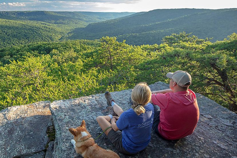 Two people and a dog sit on a rock overlooking a valley.