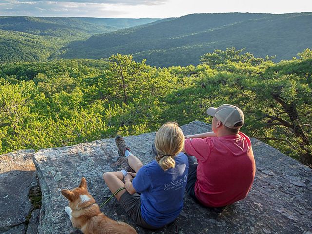 Two people and a dog sit on a rock overlooking a valley.