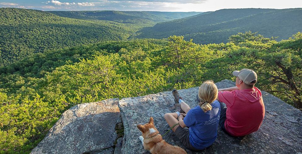 The Nature Conservancy's 2022 Tennessee Year in Review