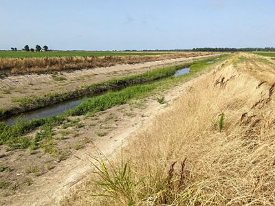 A long ditch with water in it runs between two dirt berms across a vast field.