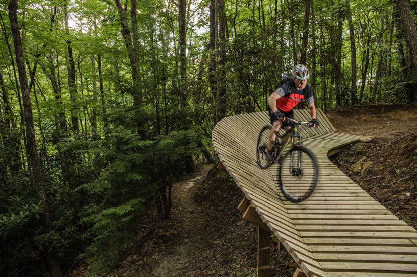 A person biking on a raised wooden track that curves through the forest.