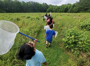 A group of children holding butteerfly nets walk in a line along a mowed path.