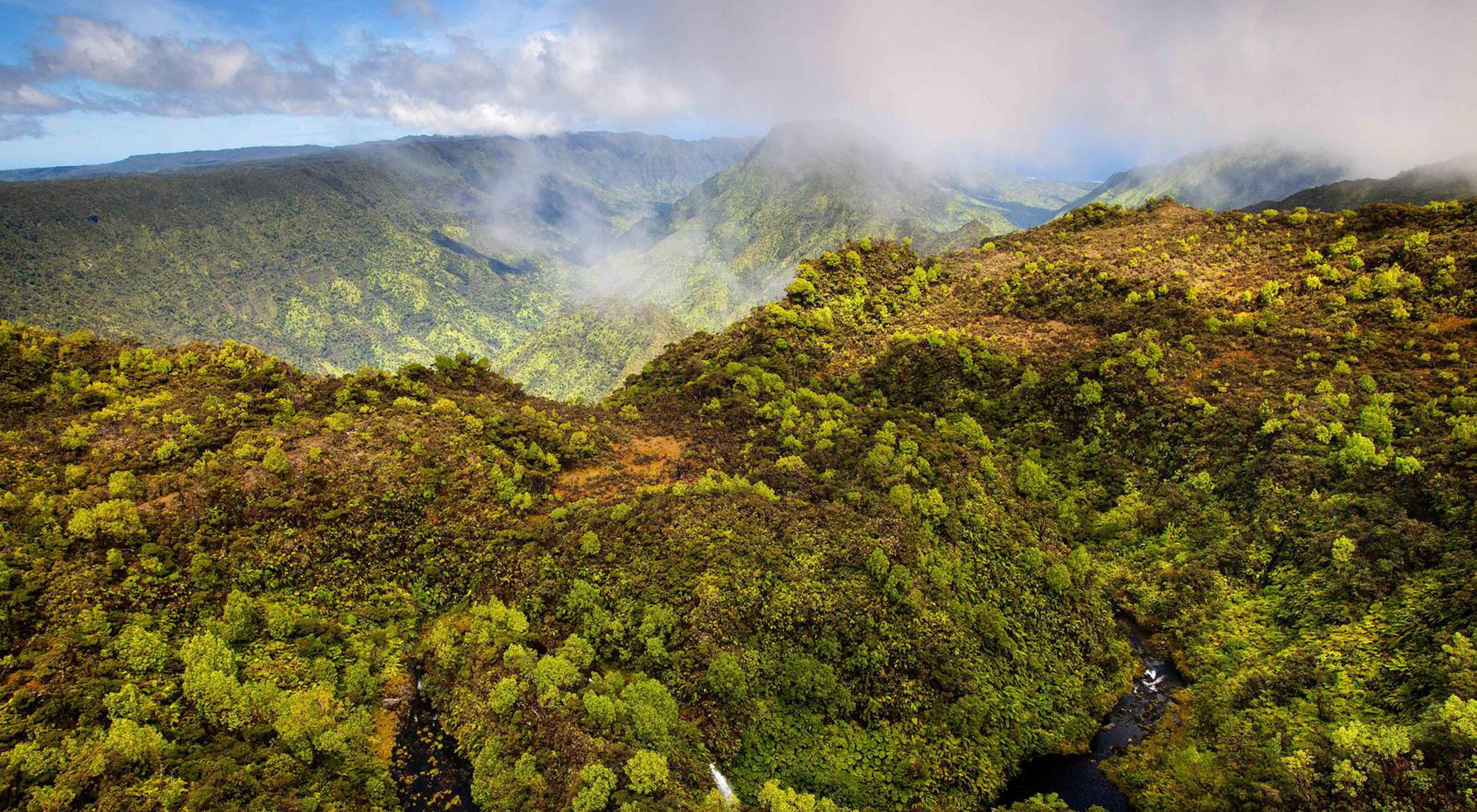 Mountaintop view of a thickly forested mountains and foggy valleys in Hawaii.