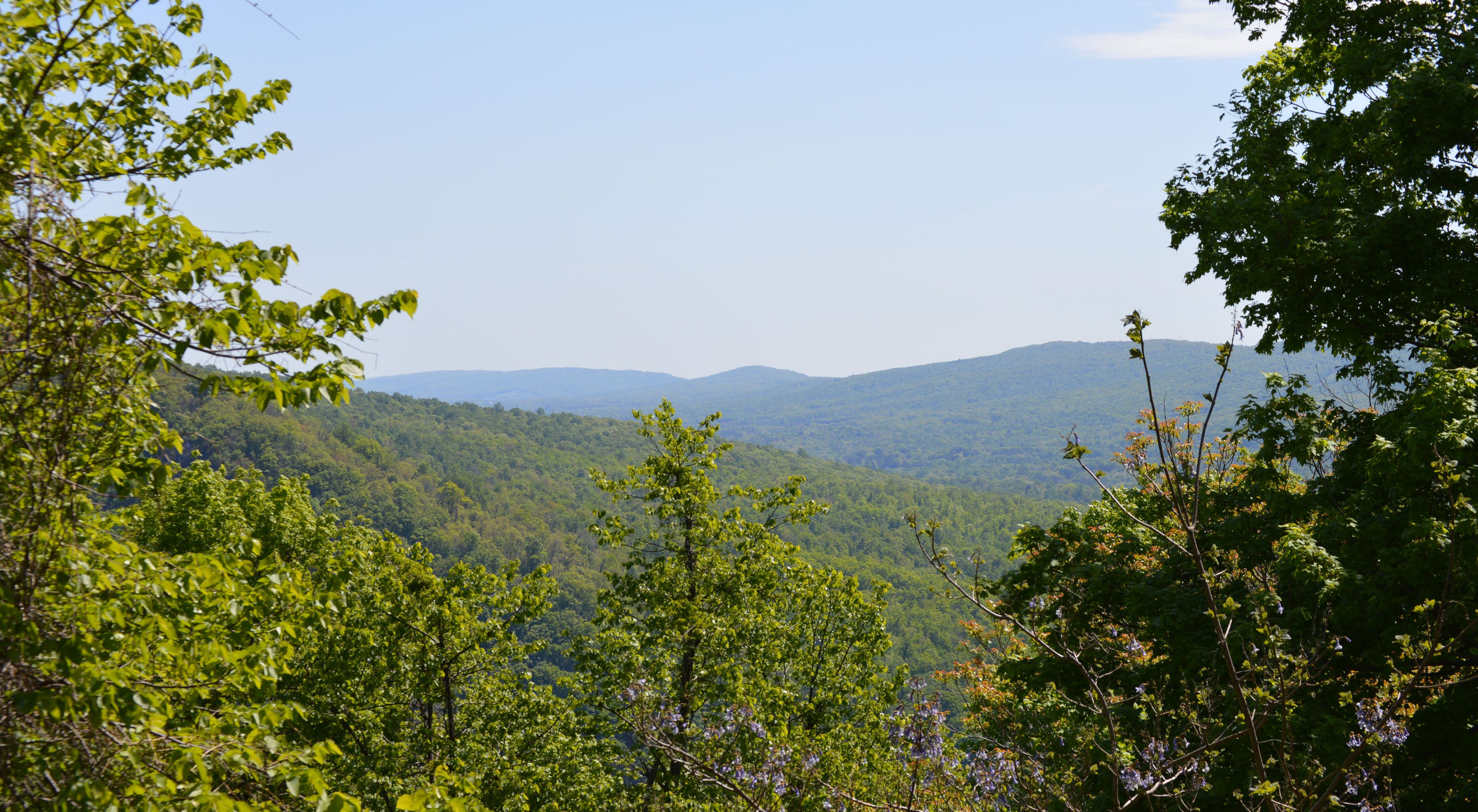 A view from a vista with several lush green trees and mountain ranges in the distance.