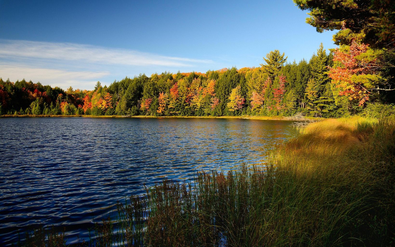 Red, orange and yellow fall colors mix with the green of the conifer trees that fringe a blue lake with wetlands in the foreground and blue sky overhead.